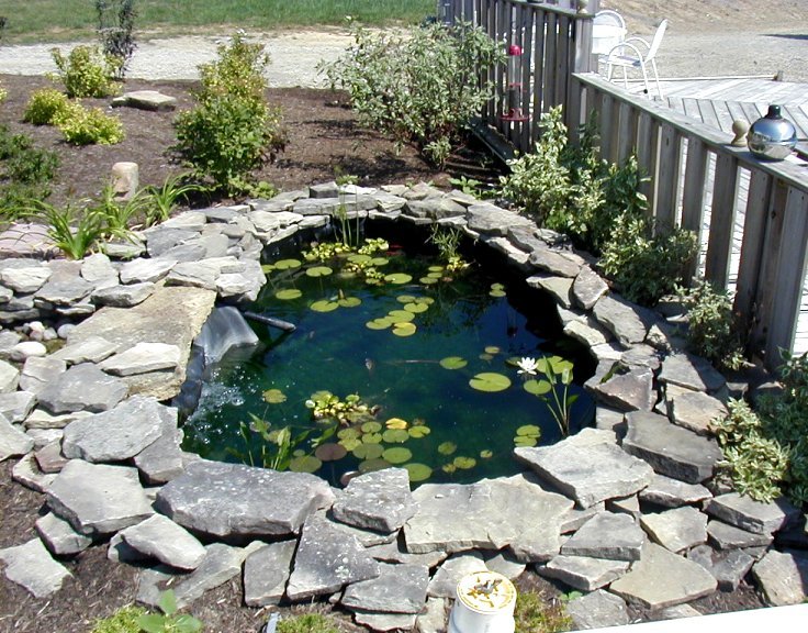 Landscaping Job